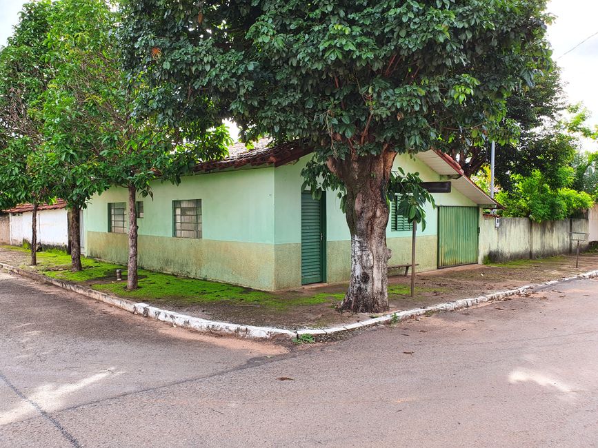 Foto ilustrativa de casa térrea de esquina com árvore grande na calçada