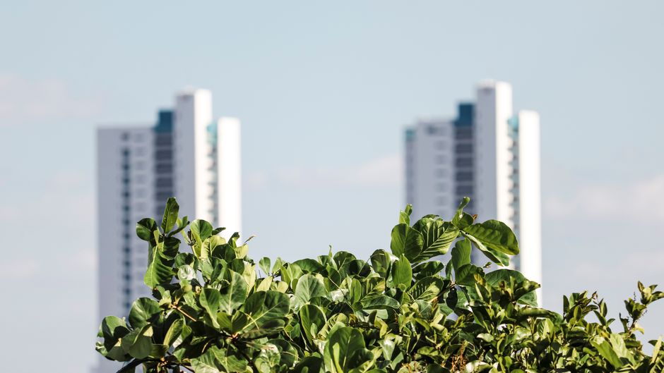 Foto ilustrativa de dois prédios residenciais altos ao fundo, com vegetação em primeiro plano