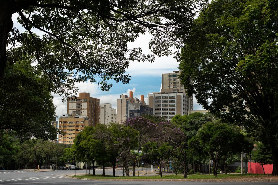 Prédios residenciais vistos entre árvores e ipês floridos, foto ilustrativa
