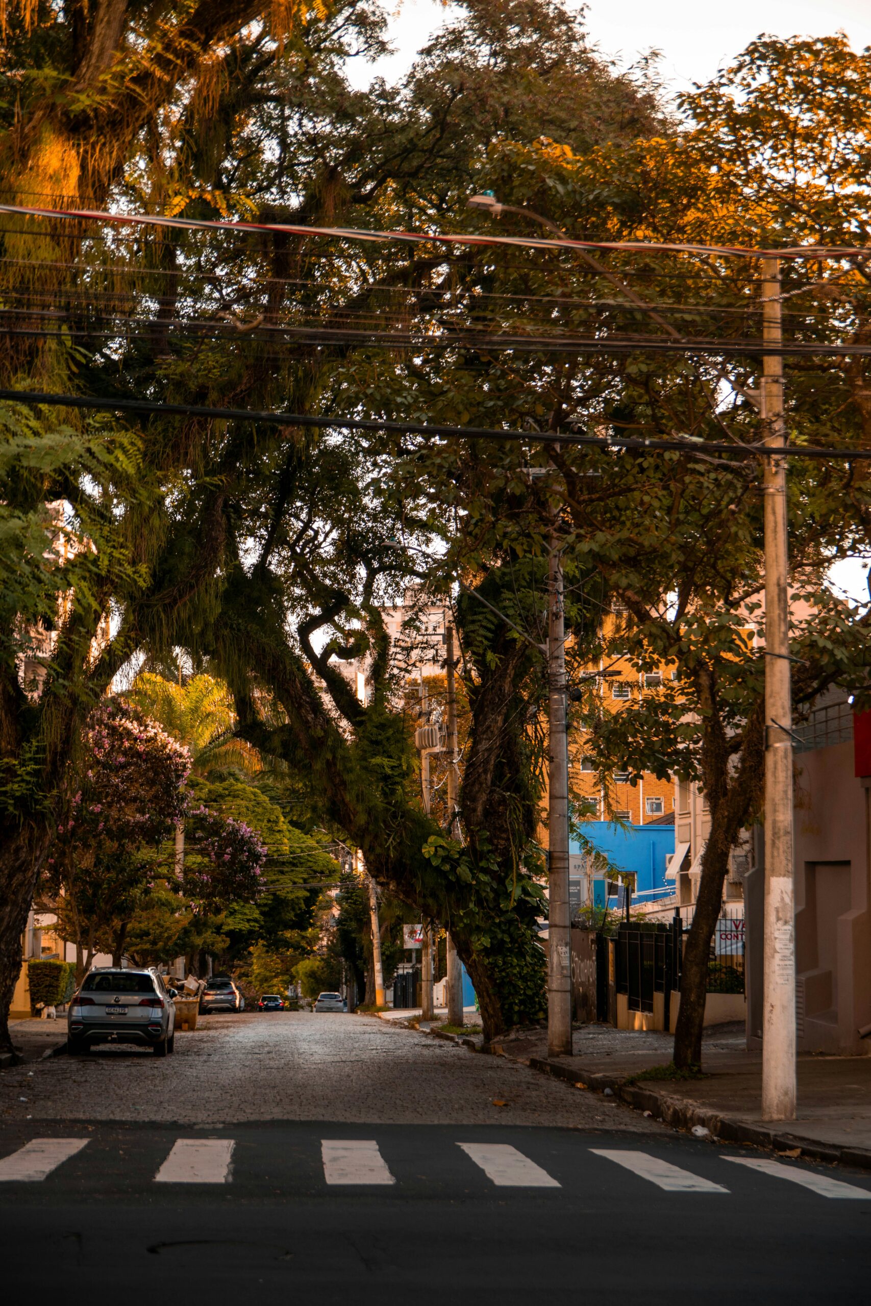 Panorama mercado imobiliário corporativo em Campinas com baixa vacância e alta nos aluguéis em 2026